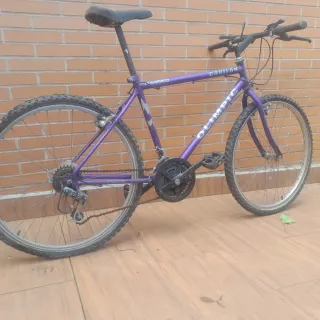 Bicicleta GAVILAN OLYMPIC Morada,