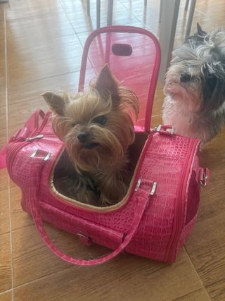 Elegante transportín para perros rosa.