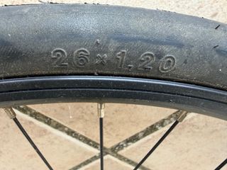 Bicicleta neumáticos