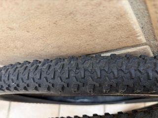 Bicicleta neumáticos