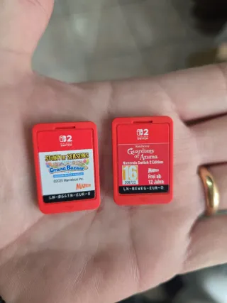 Giochi Nintendo Switch: Story of Seasons & Guardia