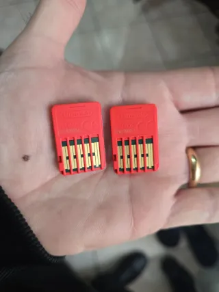 Giochi Nintendo Switch: Story of Seasons & Guardia