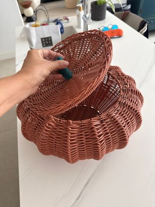 Cesta calabaza mimbre y plástico