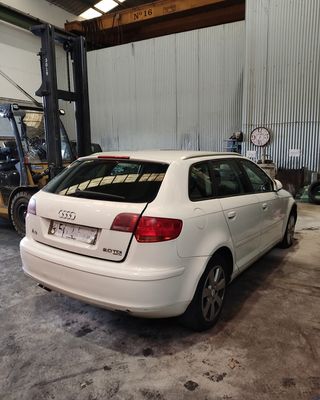 Audi A3 8P Sportback Despiece
