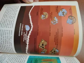 El Origen del hombre