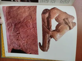 El Origen del hombre