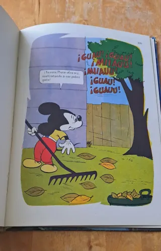 Libro antiguo Walt Disney 1968