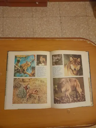 Enciclopedia Disney Temi Vari. Anni '70