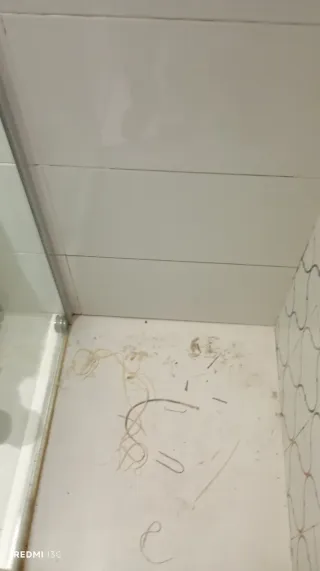 Reparación y mantenimiento General