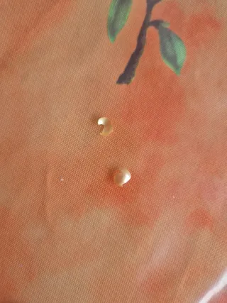 Collar Perlas Cultivadas 1920s 2 vueltas