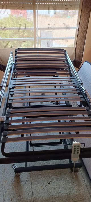 Cama articulada con colchón
