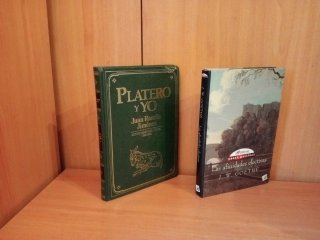 1 € Literatura clásica / contemporánea