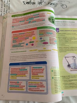 BIOLOGIA, GEOLOGIA Y CIENCIAS AMBIENTALES 1 BTO...