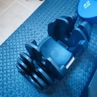 Mancuernas, discos, barra olímpica y banco.