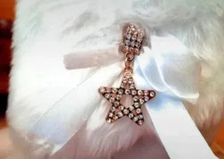 Botines rosas tacón plataforma  Edición limitada!