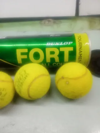 Palline da tennis Dunlop Fort