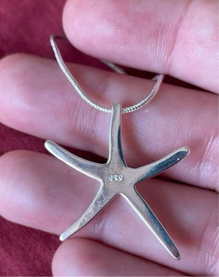 Colgante Estrella de Mar Plata 925