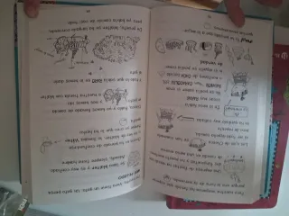 Las cosas de LOTA (¡Vaya montón de conejos! + ¡...