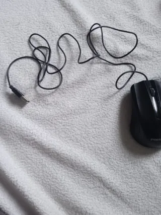 Ratón Pritech Negro