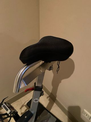 Bicicleta Spinning BH REX WORKOUT Electrónica