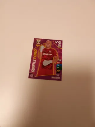 Cromo Guantes de Oro - Dmitrovic