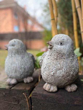Pareja Pájaros Decorativos Jardín Piedra