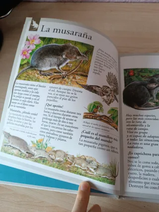 Libro de animales