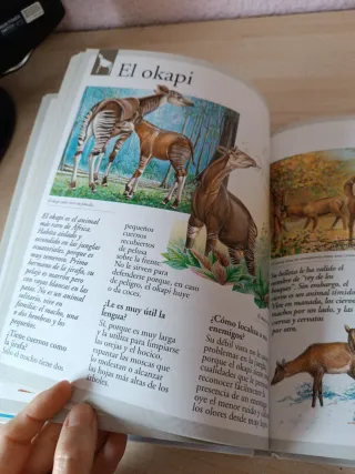Libro de animales