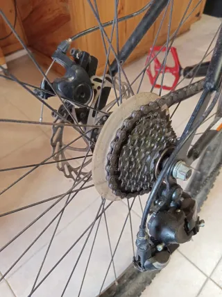 MTB 29' Esperia Alaska29