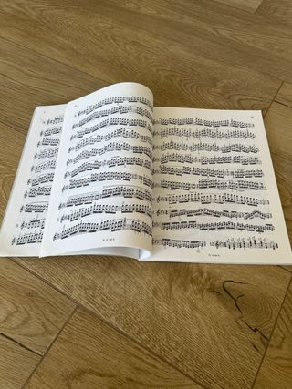 Carl Flesch Das Skalensystem - Libro Música