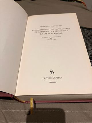 Libro Nietzsche 1 grandes pensadores