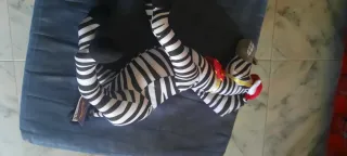 Peluche Zebra Madagascar 3