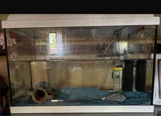 Pecera 50L con luz