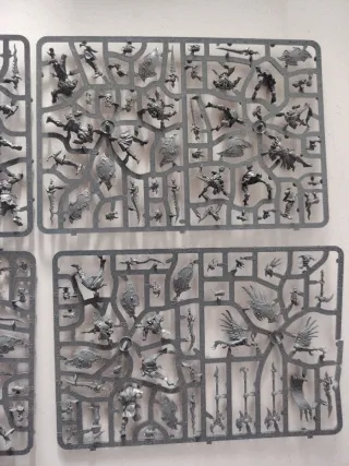 Warhammer Kairic Acolytes Citadel