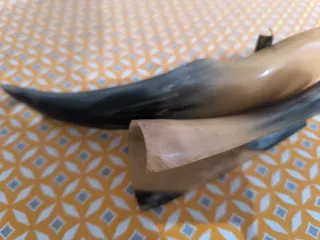 Antiguo cenicero de cuerno