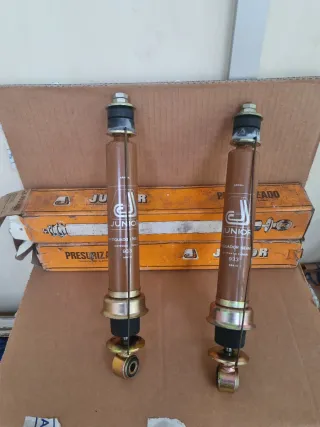 Pareja Amortiguadores Delanteros Renault 5 6 y 7