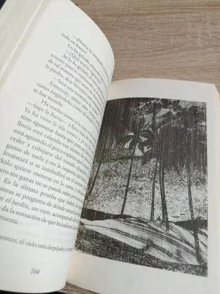 El viaje íntimo de la locura