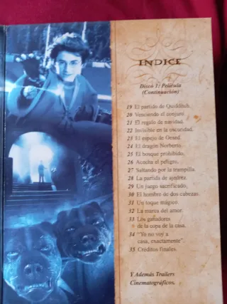 DVD Harry Potter y La Piedra Filosofal Especial