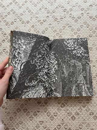 Libro “Donde los árboles cantan”