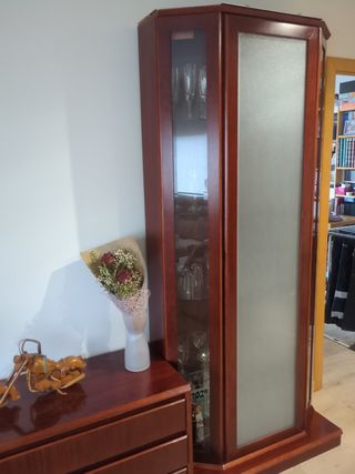 Vitrina de madera y cristal