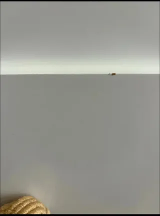 Cama Ikea Hemnes Blanca con Cajones