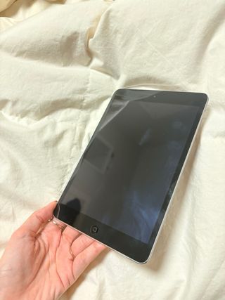 Apple iPad mini 2 Argento