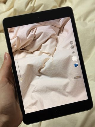 Apple iPad mini 2 Argento
