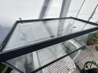 Acuario o terrario