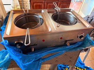 Freidora Eléctrica Doble Seminueva