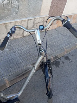 Bicicleta de paseo plateada