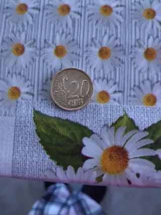 Monedas de 20 céntimos Eire