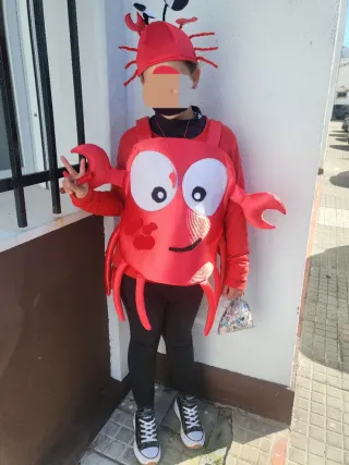 Disfraz Cangrejo Hecho a Mano