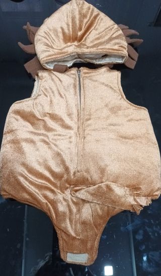 Vestito Carnevale Leone 6-9 Mesi 40 cm body testa