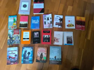 Lote de libros